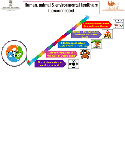 human animal and environmental health are interconnected