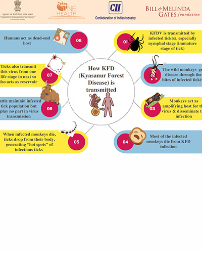 KFD Tranmission