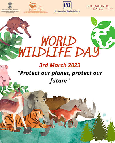 world wildlife day